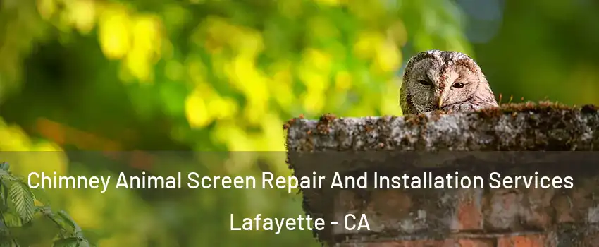  Chimney Animal Screen Repair And Installation Services Lafayette - CA