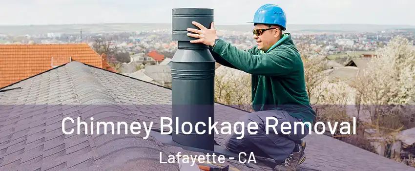  Chimney Blockage Removal Lafayette - CA