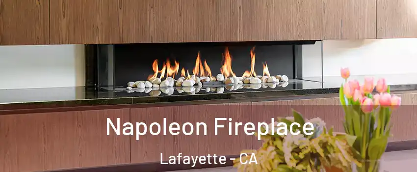  Napoleon Fireplace Lafayette - CA