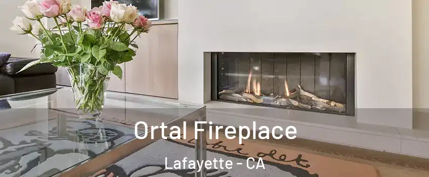  Ortal Fireplace Lafayette - CA